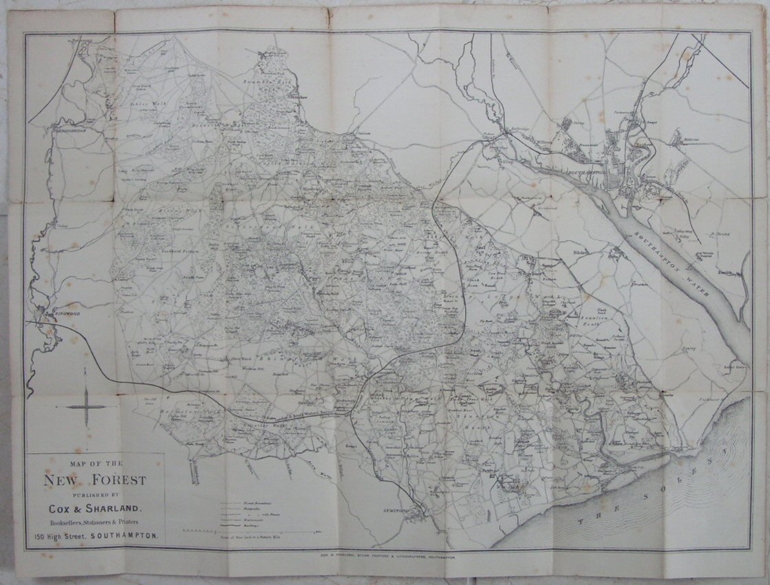 Map of New Forest